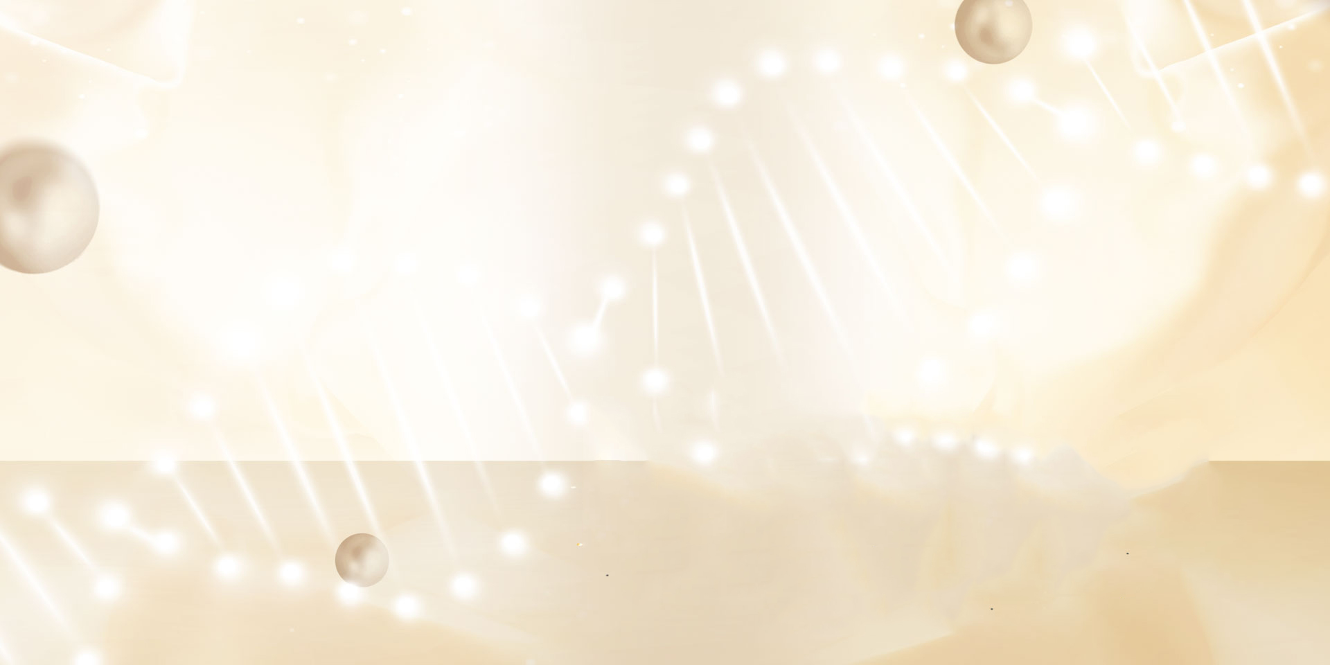 UF系列高頻變壓器